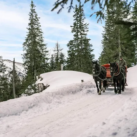 Falkensteiner Cristallo L 4 Star Superior מלון Katschberghöhe