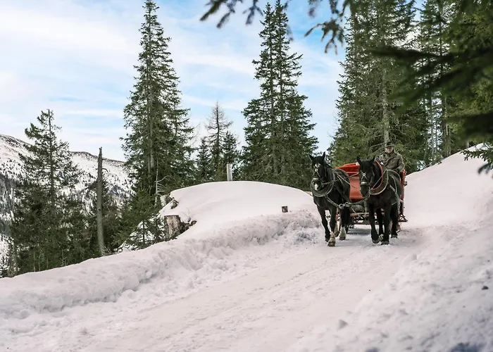 Falkensteiner Cristallo L 4 Star Superior Hotel Katschberghöhe